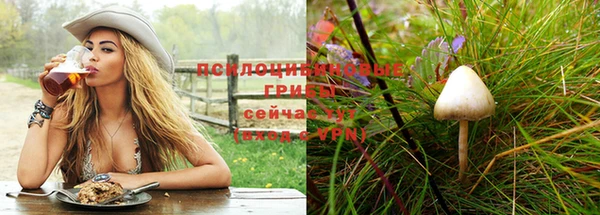 ПСИЛОЦИБИНОВЫЕ ГРИБЫ Навашино