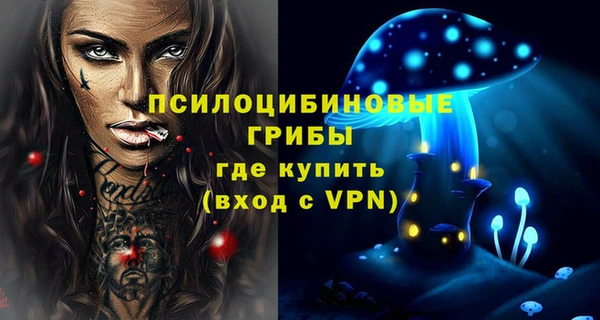 PSILOCYBIN Михайловка