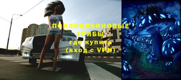 PSILOCYBIN Михайловка