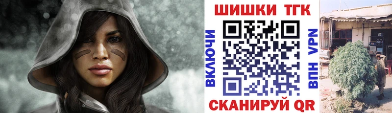 Купить закладки  Павлово  Бошки марихуана сатива 